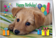 Birthdays To Pet Sitter Puppy Balloons card