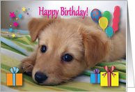 Birthdays Like a Granddaughter To Me Puppy card