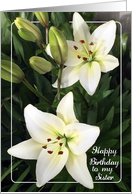 Birthday To Estranged Sister, White Lilies card