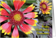 Anniversary / Thanksgiving, flowers card