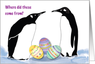 Easter, Penguins, decorated eggs card