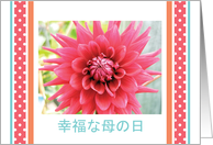 Mother’s Day, in Japanese, blank card