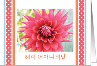 Mother’s Day, in Korean, blank card