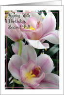 Birthday, Secret Pal, 55 yrs. old card