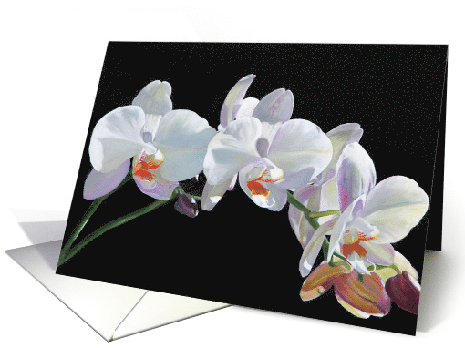 Blank Any Occasion White, Red and Purple Orchid card (913555)