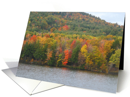 The Fall Foliage of Maine card (1340830)