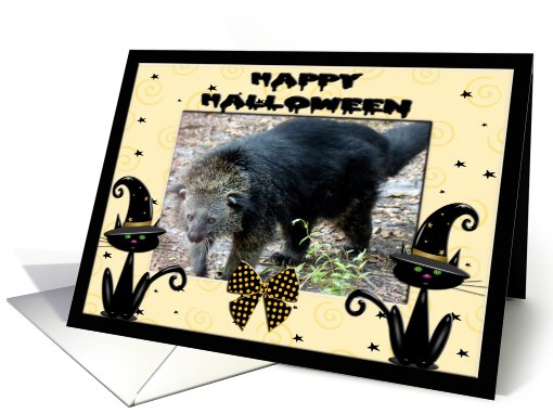 Halloween Bear Cat card (480859)