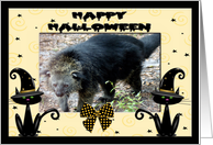 Halloween Bear Cat card