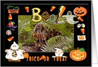 Halloween Bengal Cat card