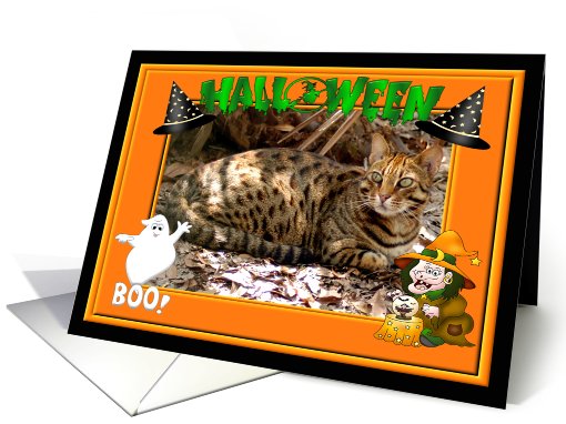 Halloween Bengal Cat card (481128)