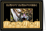 Halloween Bengal Cat card