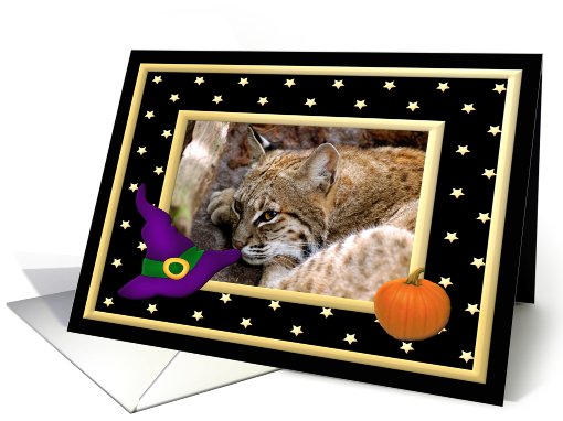 Halloween Bobcat card (481200)