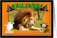Halloween African Lion card
