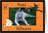 Halloween White Tiger & African Lion card