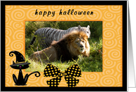 Halloween White Tiger & African Lion card