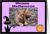 Halloween Caracal Lynx card