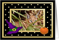 Halloween Caracal Lynx card