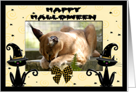 Halloween Caracal Lynx card