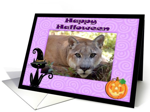 Halloween Cougar card (481453)