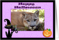 Halloween Cougar