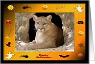 Halloween Cougar