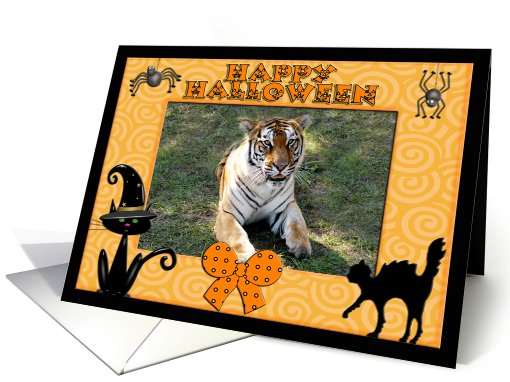 Halloween Tiger card (481870)