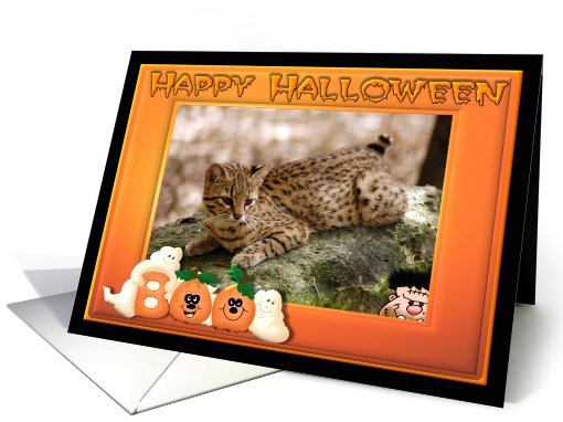 Halloween Geoffroy Cat card (482000)