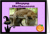 Halloween Leopard card