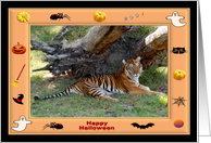 Halloween Tiger card