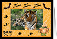 Halloween Tiger card