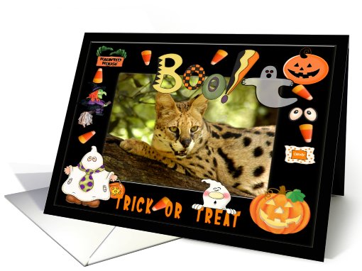 Halloween African Serval Cat card (482289)