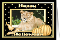 Halloween Barbary Lion card