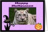 Halloween White Tiger card