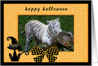 Halloween White Tiger card