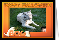 Halloween White Tiger card