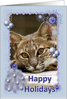 Bobcat Christmas Card