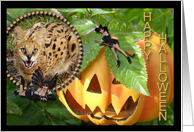 African Serval Halloween Card