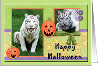 White Tiger Halloween Card