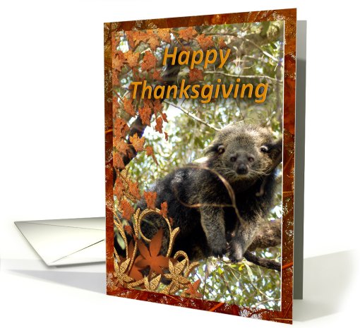 Bearcat Thanksgiving card (511520)