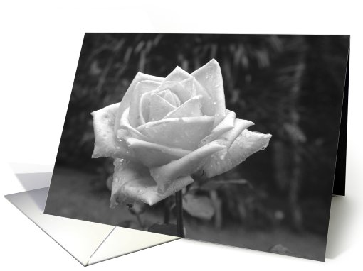 Elegant and beautiful card (470457)