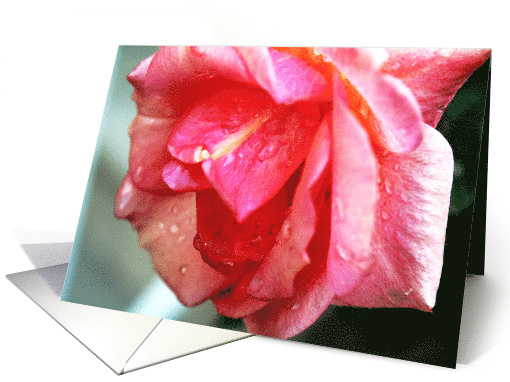 Rose, Birthday, card (664114)