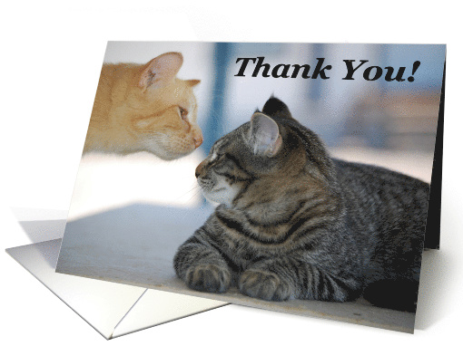 Thank you! card (466362)