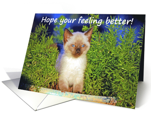 Shelby/Get well card (476845)