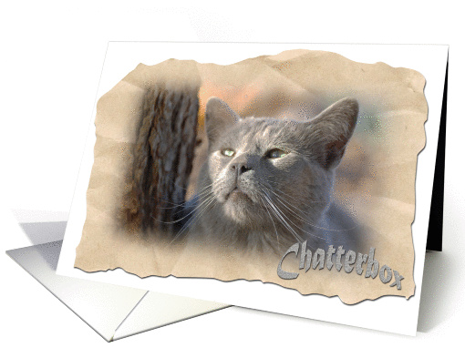 Chatterbox/Frontier/Blank card (482981)