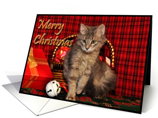 Christmas Kitten card (517365)