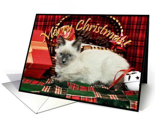 Christmas Kitten card (517369)
