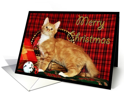 Christmas Kitten card (517375)