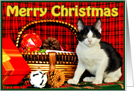 Christmas Kitten card