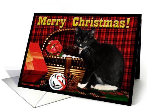 Christmas Kitten card (517384)