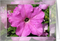 Flower with glistening water droplets, encouragement card